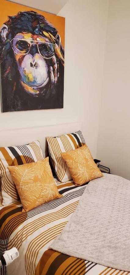 סן-קוונטן Triangle D'Or - Calme Et Cosy, Appartement 1 Chambre מראה חיצוני תמונה